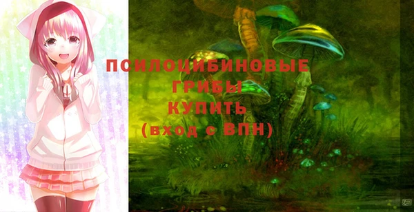 марки lsd Алексеевка